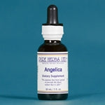Angelica