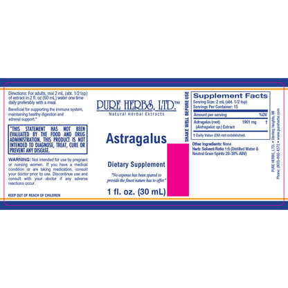 Astragalus
