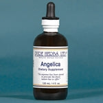 Angelica