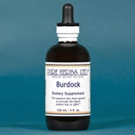 Burdock Root